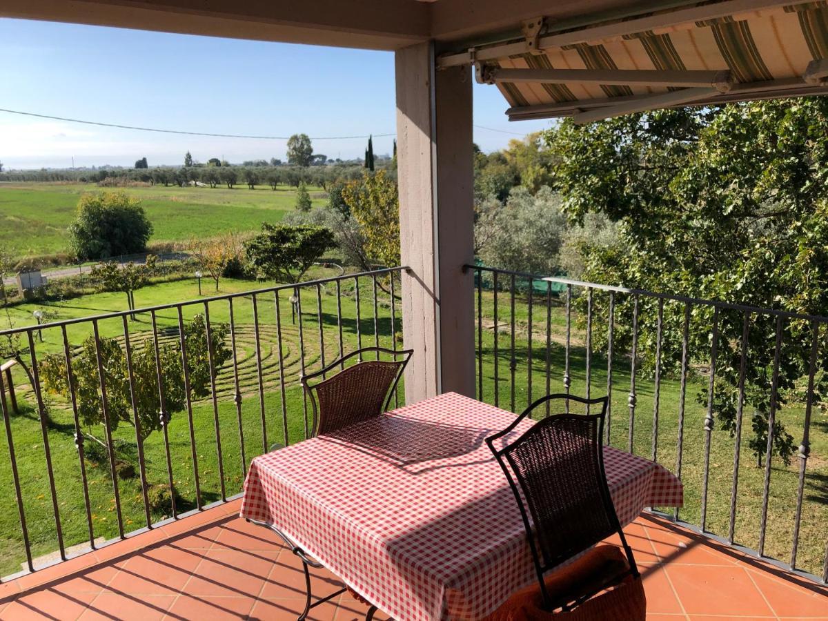 Il Grano Di Bramante Villa Marrucheto Buitenkant foto
