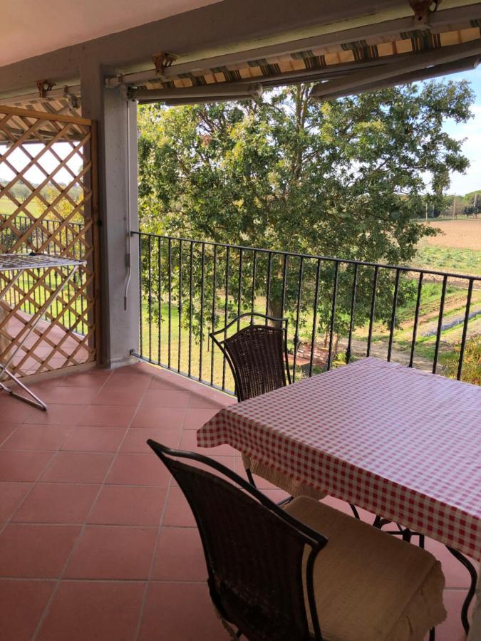 Il Grano Di Bramante Villa Marrucheto Buitenkant foto