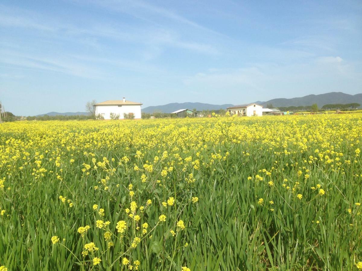 Il Grano Di Bramante Villa Marrucheto Buitenkant foto